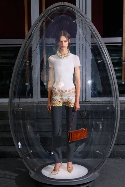 Look 33